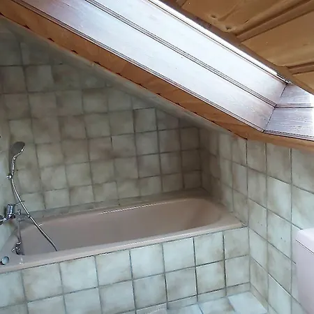 Apartment Penthouse Near Nuernberg *